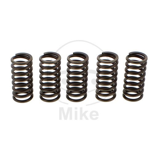 CLUTCH SPRING KIT EBC CSK137 5