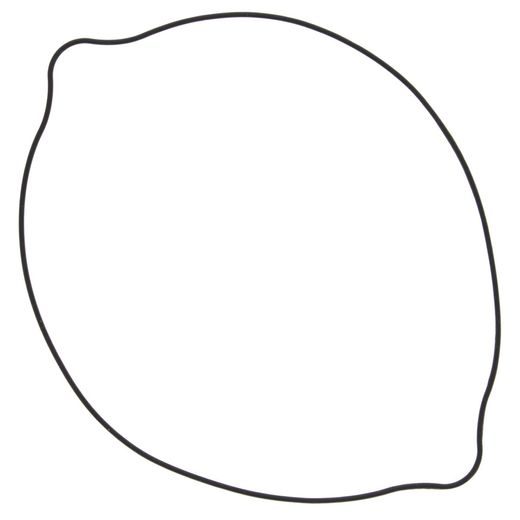 CLUTCH COVER GASKET WINDEROSA CCG 817521 OUTER SIDE