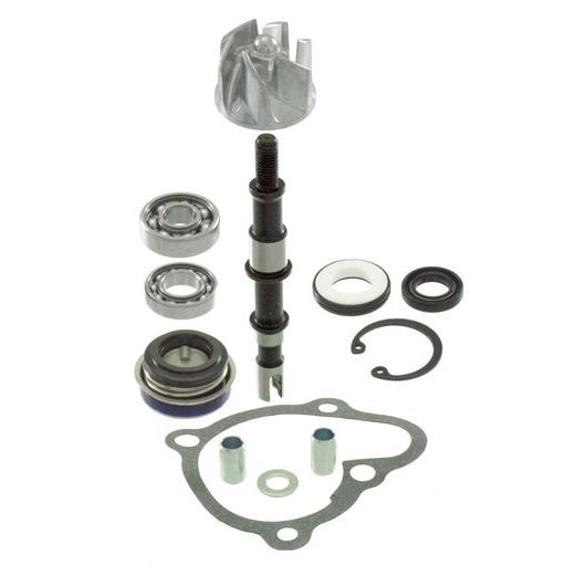 WATER PUMP SET RMS 100110460