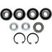 REAR INDEPENDENT SUSPENSION KIT ALL BALLS RACING RIS50-1247