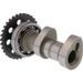 CAMSHAFT INTAKE HOT CAMS 4163-1IN
