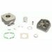 CYLINDER KIT ATHENA 071900/1 STANDARD BORE (WITH HEAD) D 39 MM, 49 CC