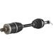 AXLE ALL BALLS RACING AB6-CA-8-341 6BALL