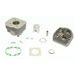 CYLINDER KIT ATHENA 071900/1 STANDARD BORE (WITH HEAD) D 39 MM, 49 CC