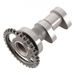 CAMSHAFT INTAKE HOT CAMS 2087-2IN