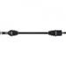 AXLE ALL BALLS RACING AB6-CA-8-336 6BALL