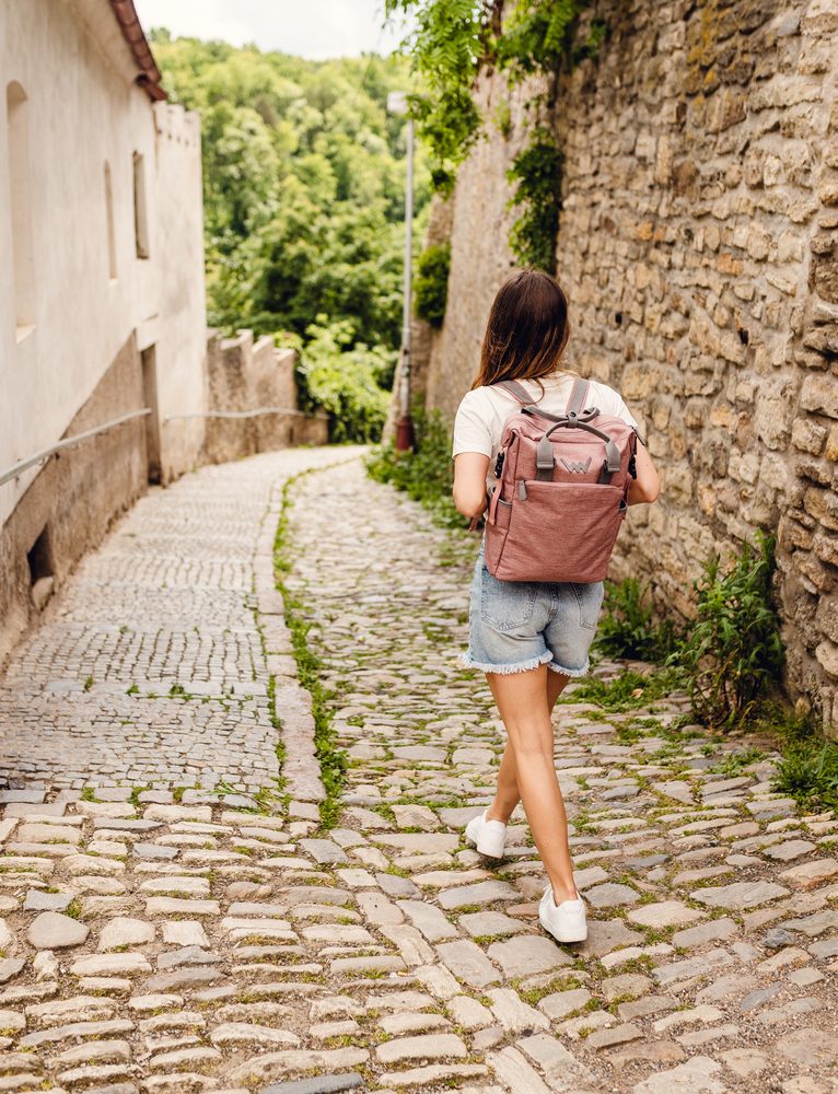 VUCH Lien Pink.

Za boljšo orientacijo se odpre za večjo velikost
Izjemno močan in vzdržljiv material, ki je lepo ohranjen
Veliko notranjih in zunanjih žepov
 TechniC
Kolekcija, ki sta jo navdihnila mesto in narava!
Na prestolu priljubljenosti že nekaj časa kraljujeta nahrbtnika Mellor in Noel, iz njunih lastnosti pa je nastalo kar nekaj velikih naslednikov.
