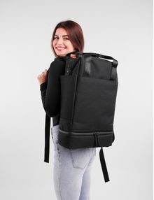 Gioia Big Brown