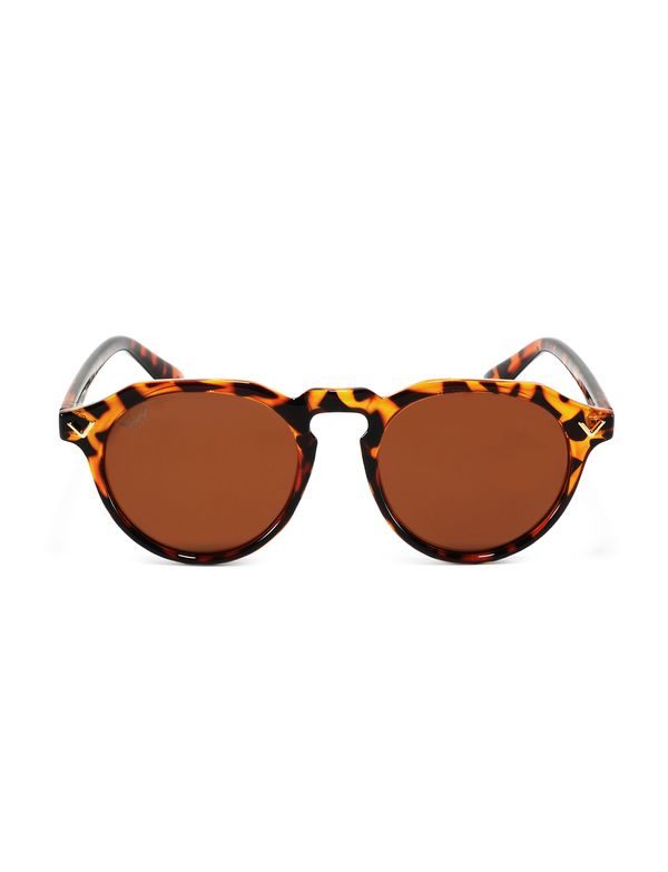 Mitzi V Design Brown