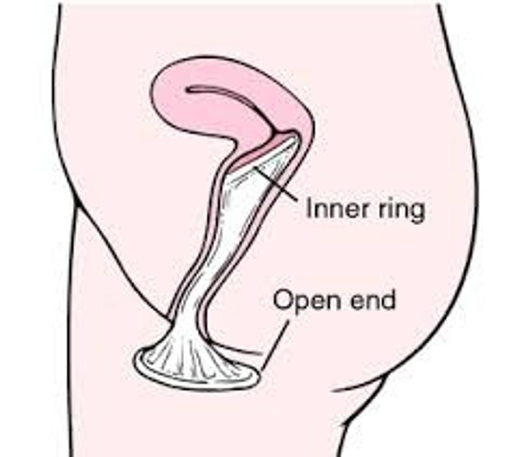 Pasante Internal Condom 1 pack - Obrázek 3