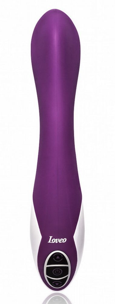 Loveo Noemi fialová - Obrázek 4
