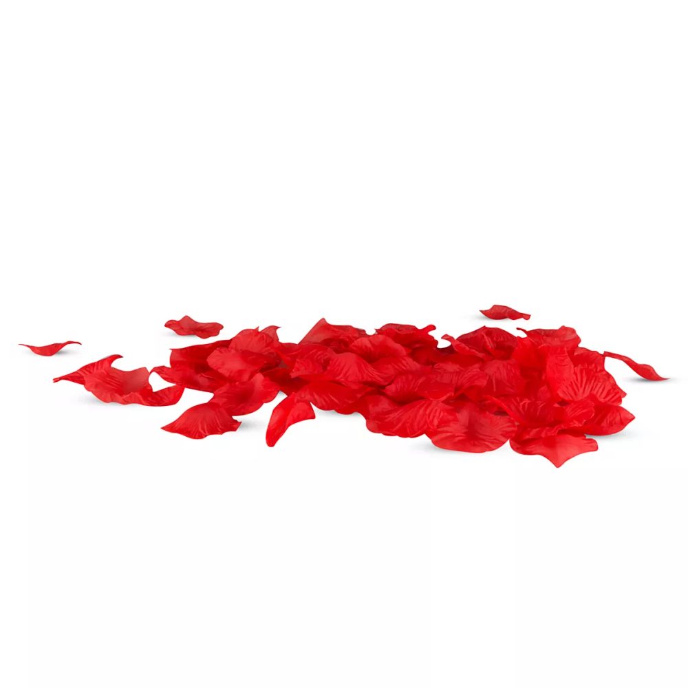 Easytoys Beginners Sex Set (obrázek 8)