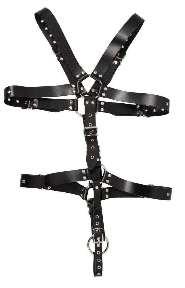 Zado Harness - Obrázek 4