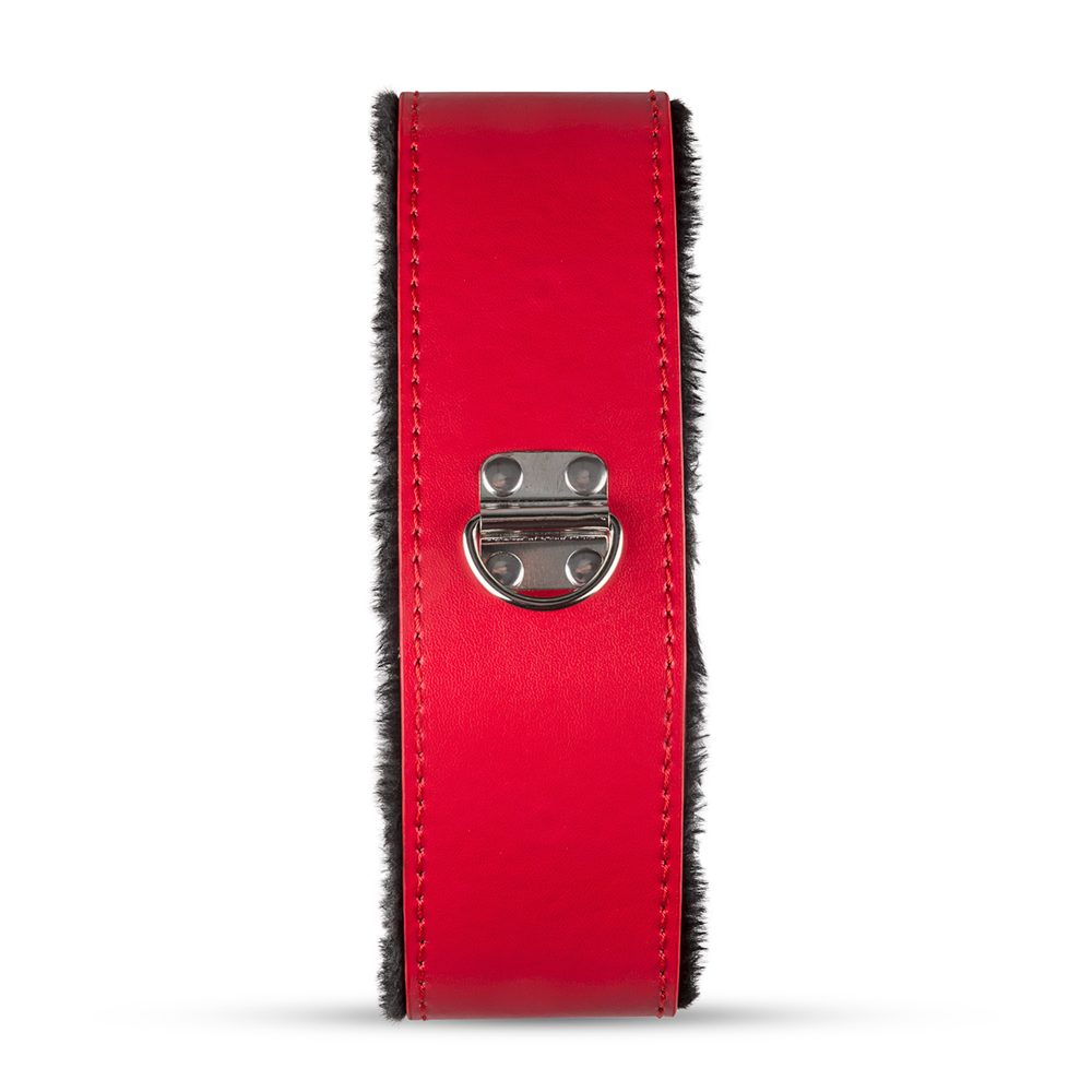 Sada pro BDSM Secret Pleasure Chest (obrázek 6)
