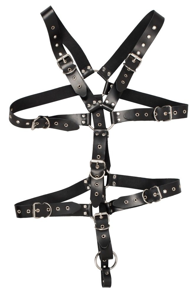 Zado Harness - Obrázek 2