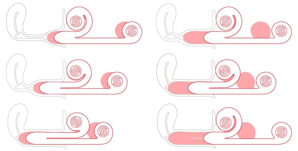 Snail Vibe (obrázek 8)