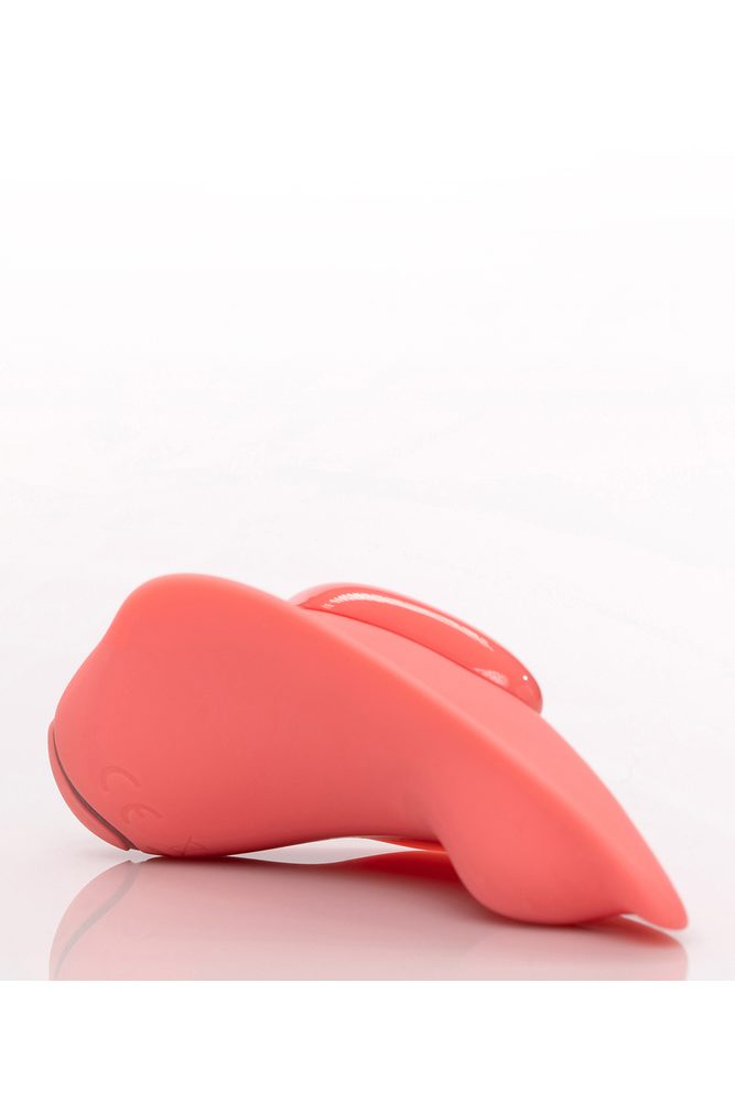 Clandestine Companion - Obrázek 5