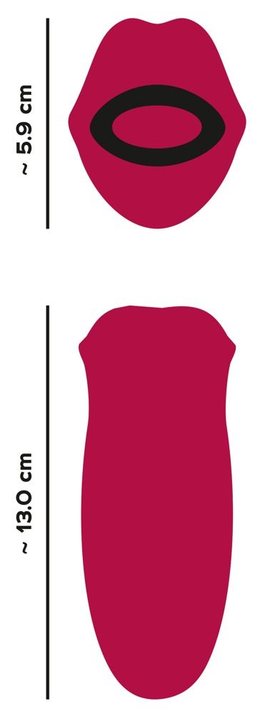 You2Toys Oral Fun Moving Lips - Obrázek 4