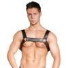 Zado Harness (torso)