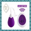 FeelzToys Anna Vibrating Egg Remote