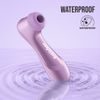 Satisfyer Pro 2 Generation 4 Metallic Amethyst