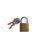 Padlock with Keys