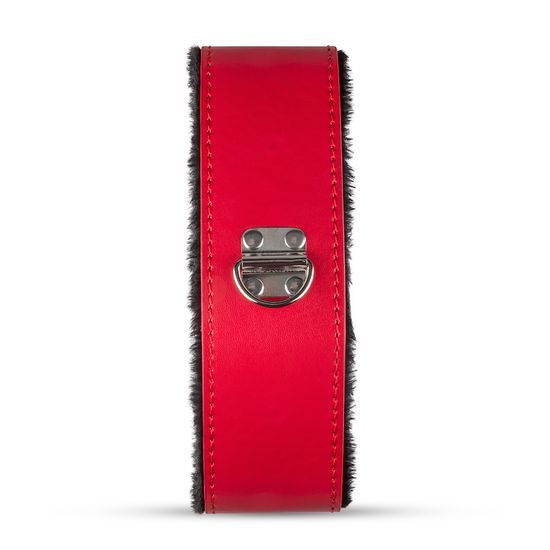 Sada pro BDSM Secret Pleasure Chest