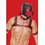 Ouch! Neoprene Puppy Kit - L/XL