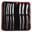 Rouge Stainless Steel 8 Piece Hegar Dilator Set