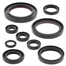 SADA GUFIER MOTORU WINDEROSA 822315