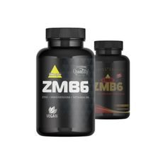 X-TREME ZMB6 120 TABLET (INKOSPOR - NEMECKO)