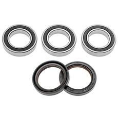 SERVISNÉ SADA ZADNÉHO KOLESÁ (RACE SERIES), FACTORY LINKS