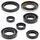 Sada gufier motoru WINDEROSA 822160