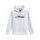 mikina BLAZE HOODIE 3, ALPINESTARS (bílá/modrá)