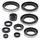 Sada gufier motoru WINDEROSA 822295