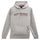 mikina LINEAR RACE HOODIE, ALPINESTARS (šedá)