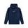 mikina FRONTAL HOODIE, ALPINESTARS (modrá)