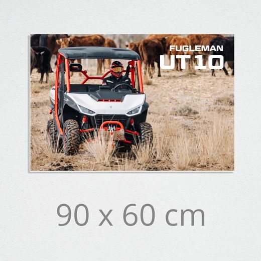 PVC INDOOR IMAGE UT10