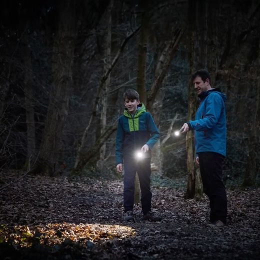 OSRAM SVÍTILNA LEDINSPECT TORCH 450 ESSENTIAL