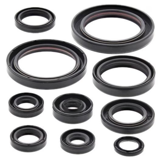 SADA GUFIER MOTORU WINDEROSA 822178