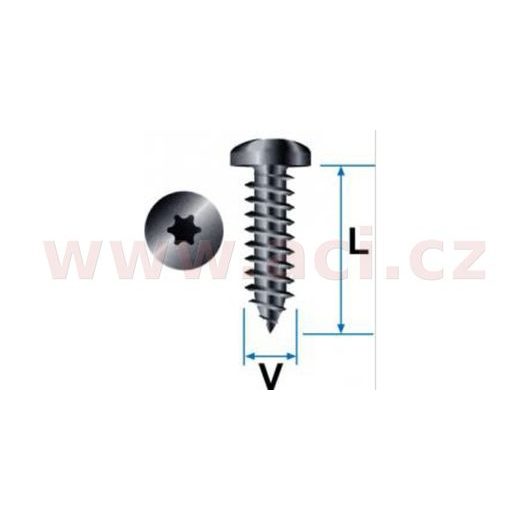 SAMOŘEZNÝ HVĚZDICOVÝ VRUT POZINK FE (SADA 10 KS)