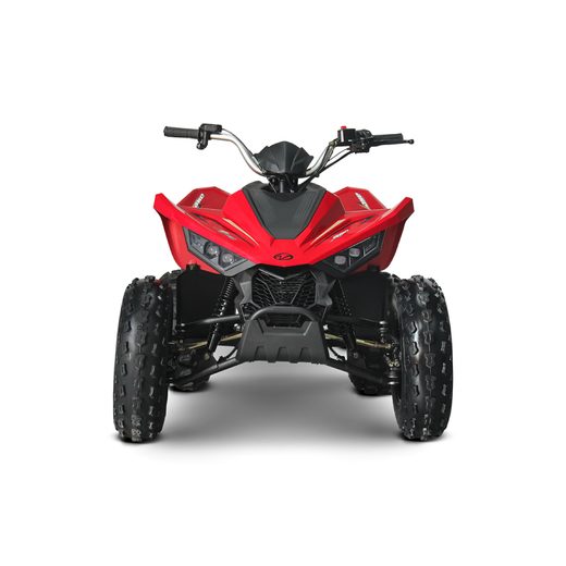 LINHAI ATV 110