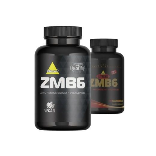 X-TREME ZMB6 120 TABLET (INKOSPOR - NEMECKO)