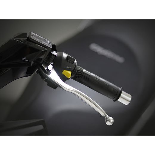 CRUISYM ALFA 125I (R3)