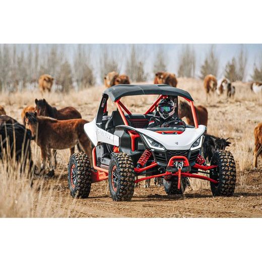 SEGWAY VILLAIN SX10 X DIFF