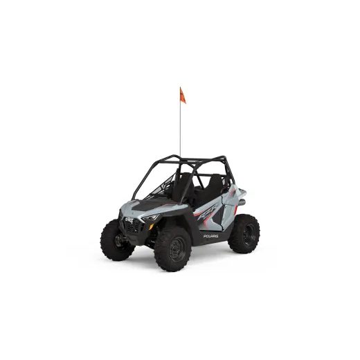 RZR 200 EFI