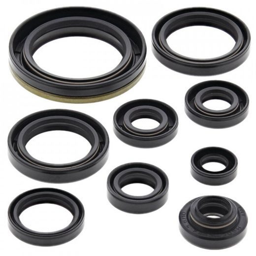 SADA GUFIER MOTORU WINDEROSA 822324