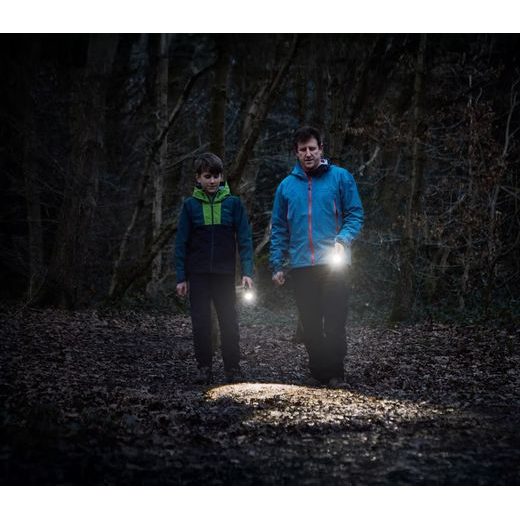 OSRAM SVÍTILNA LEDINSPECT TORCH 450 ESSENTIAL