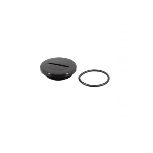 OIL CAP KIT RMS 121856190