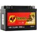 BATERIE AGM PLUS 12V, BGTZ14-S, 11,2AH, 210A, BANNER BIKE BULL AGM PLUS 150X87X110